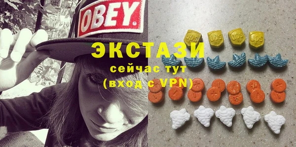 ECSTASY Богданович